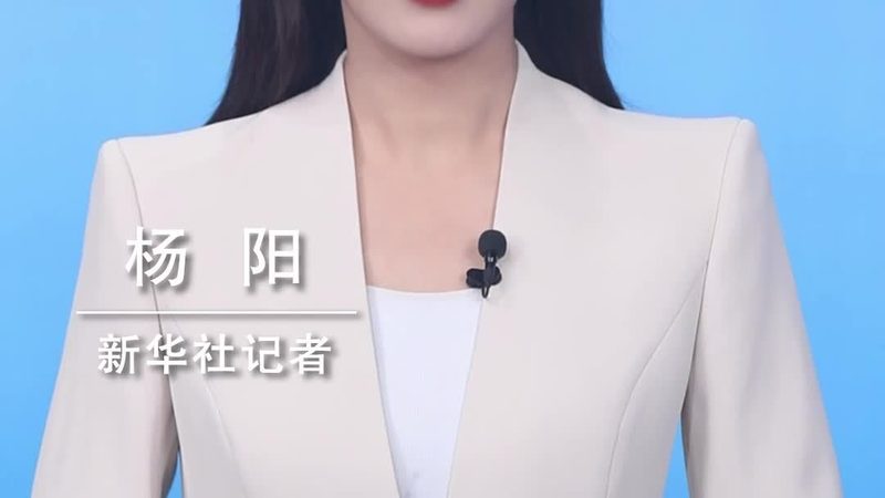 数据治理平台：功能对比，解码选择之道