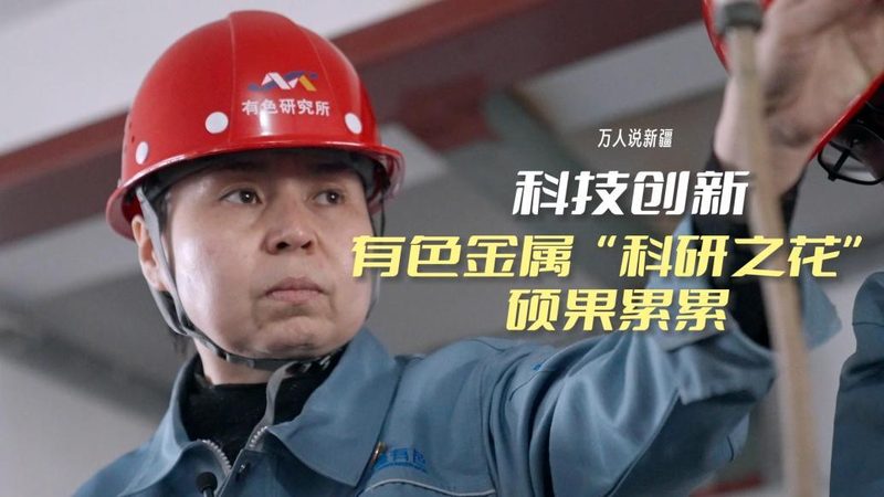 企业搜索安全配置流程：守护数据安全的坚实防线
